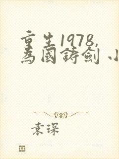 重生1978,为国铸剑 小说阅读
