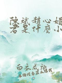 陈斌赵心媚高婉君是什么小说