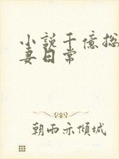 小说千亿总裁宠妻日常