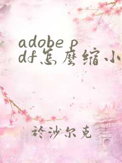 adobe pdf怎么缩小文件大小