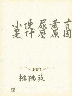 小便尿黄有泡沫是什么原因