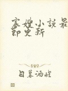 寡嫂小说最新章节更新