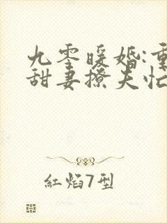 九零暖婚:重生甜妻撩夫忙阅读全文