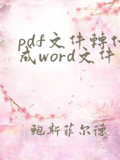 pdf文件转化成word文件