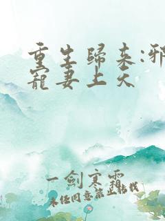 重生归来:邪王宠妻上天