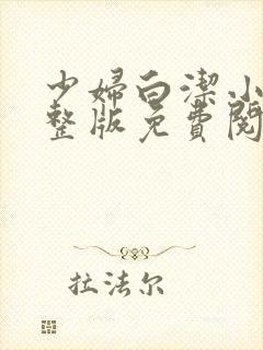 少妇白洁小说完整版免费阅读