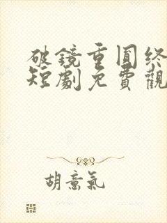 破镜重圆终有隙短剧免费观看