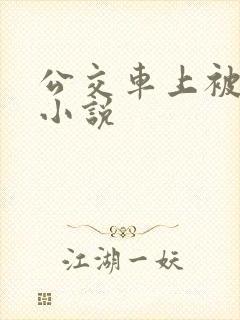 公交车上被强暴小说