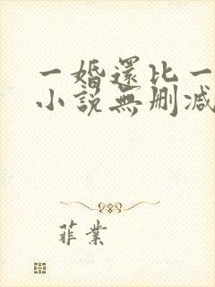 一婚还比一婚高小说无删减版