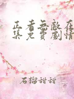 正者无敌在线全集免费剧情