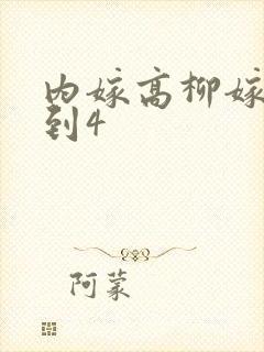 内嫁高柳嫁家1到4
