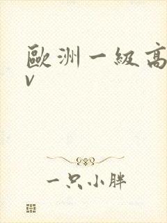 欧洲一级高清av