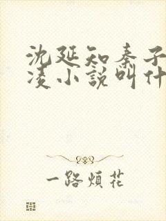 沈延知秦子卿霸凌小说叫什么名字