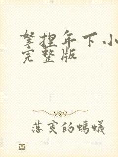 拿捏年下小娇夫完整版