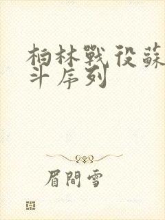 柏林战役苏军战斗序列