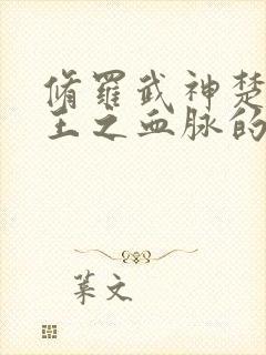 修罗武神楚枫是王之血脉的吗