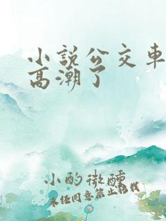 小说公交车被上高潮了
