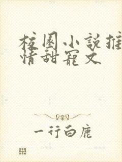 校园小说推荐言情甜宠文