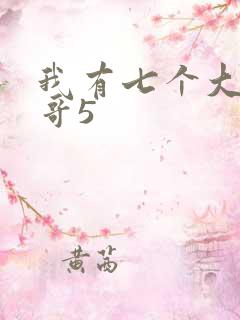 我有七个大佬哥哥5
