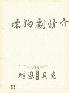 坏狗剧情介绍