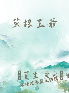 草根王爷