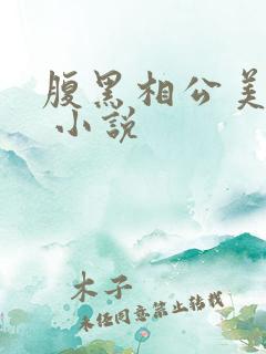 腹黑相公美如花 小说