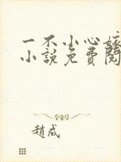一不小心嫁总裁小说免费阅读