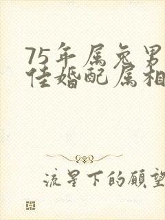 75年属兔男最佳婚配属相