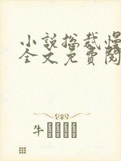 小说总裁慢慢爱全文免费阅读