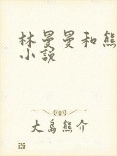 林曼曼和熊志刚小说