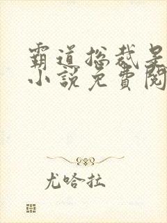 霸道总裁是个零小说免费阅读
