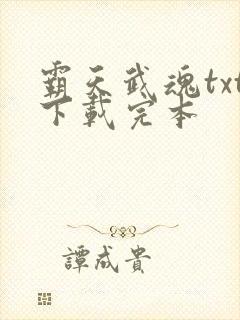 霸天武魂txt下载完本