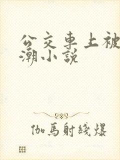公交车上被蹭高潮小说