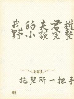 我的夫君权倾朝野小说完整版