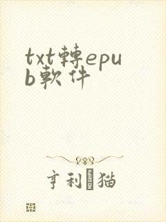 txt转epub软件