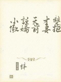 小说天才双宝:傲娇前妻抱回家