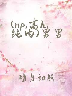 (np,高h,纯肉)男男