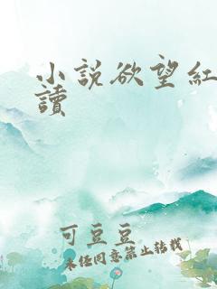 小说欲望红杏阅读