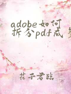 adobe如何拆分pdf成多个文件