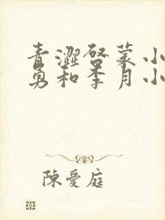 青涩启蒙小说张勇和李月小说