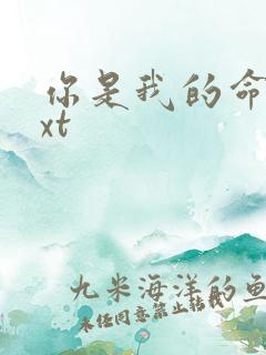 你是我的命运txt