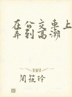 在公交车上被人弄到高潮