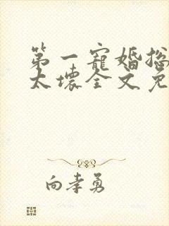 第一宠婚总裁别太坏全文免费