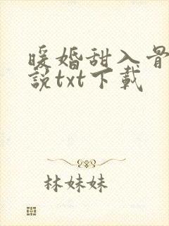 暖婚甜入骨 小说txt下载