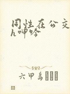 同性在公交车上h呻吟