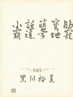 小说萌宝助攻:霸道爹地宠又撩