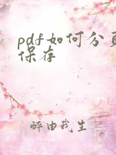 pdf如何分页保存