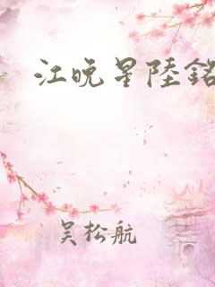 江晚星陆铭河