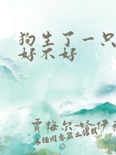 狗生了一只小狗好不好