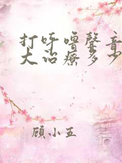 打呼噜声音特别大治疗多少钱